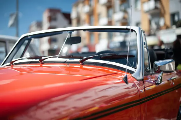 MrOyun Casino Android/iOS App